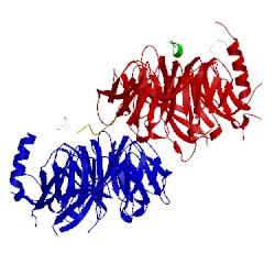 Image of CATH 2xu7