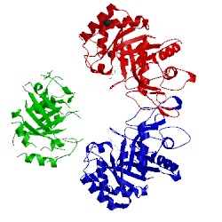 Image of CATH 2xvn