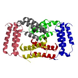 Image of CATH 2xvt