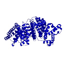 Image of CATH 2xvw