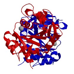 Image of CATH 2xwn