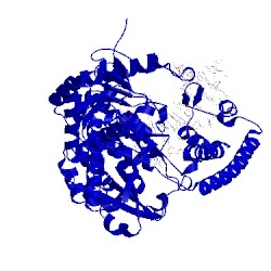 Image of CATH 2xy6