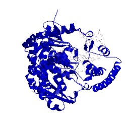 Image of CATH 2xy7