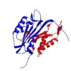 Image of CATH 2xyg