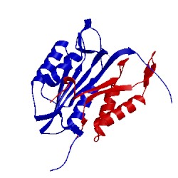 Image of CATH 2xyh