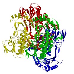 Image of CATH 2xyo