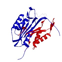 Image of CATH 2xyp