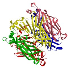 Image of CATH 2xys