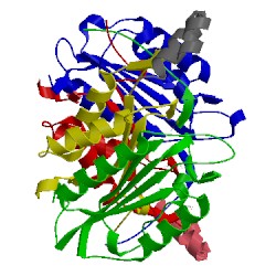 Image of CATH 2xzd