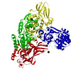 Image of CATH 2y05