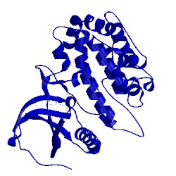 Image of CATH 2y0a