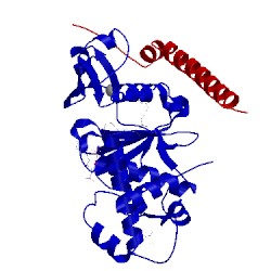 Image of CATH 2y0m