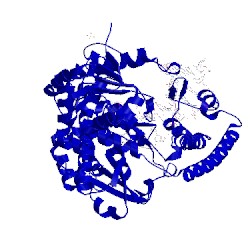 Image of CATH 2y1i