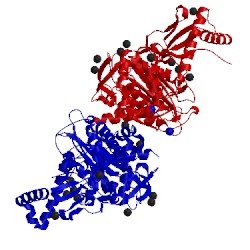 Image of CATH 2y2q