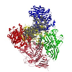 Image of CATH 2y2w