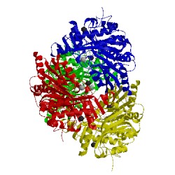 Image of CATH 2y3r