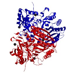 Image of CATH 2y3s