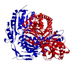 Image of CATH 2y53