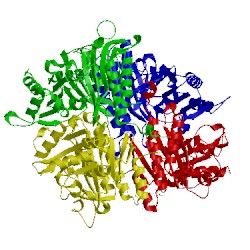 Image of CATH 2y5k