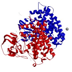 Image of CATH 2y5n