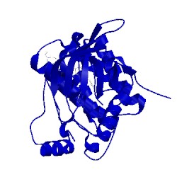 Image of CATH 2y6o