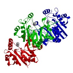 Image of CATH 2y6p