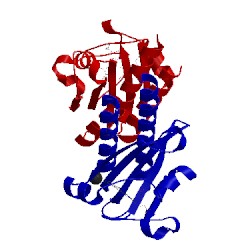 Image of CATH 2y79