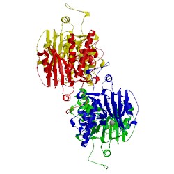 Image of CATH 2y7a