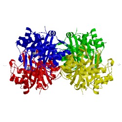Image of CATH 2y7d