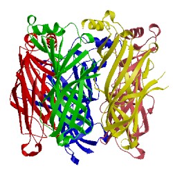 Image of CATH 2y7y