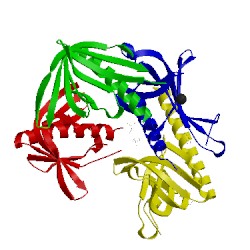 Image of CATH 2y8f