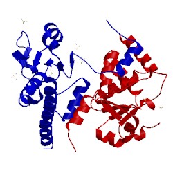 Image of CATH 2y96