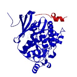 Image of CATH 2y9q