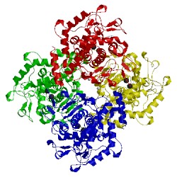 Image of CATH 2y9x