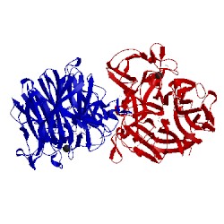 Image of CATH 2ya4