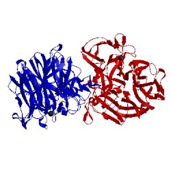 Image of CATH 2ya6