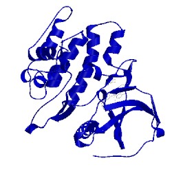 Image of CATH 2yak