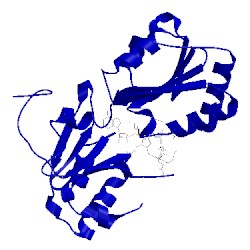 Image of CATH 2ybq