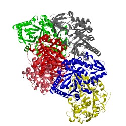 Image of CATH 2ybt