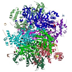 Image of CATH 2ybv