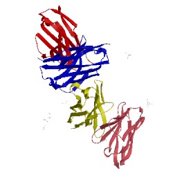 Image of CATH 2yc1