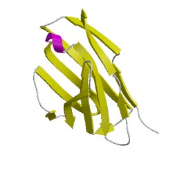 Image of CATH 2yc1B