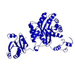 Image of CATH 2ycl