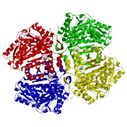 Image of CATH 2ycp