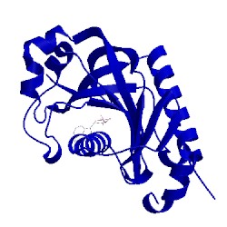 Image of CATH 2ydd