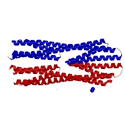 Image of CATH 2yfa