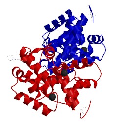 Image of CATH 2yg8