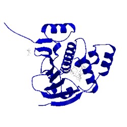 Image of CATH 2yge