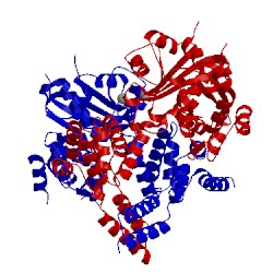 Image of CATH 2ygw