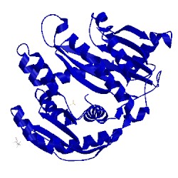 Image of CATH 2yha